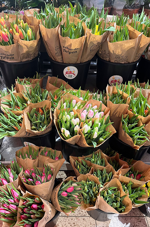 Bunte Tulpen-Auswahl im E-Center Lunze