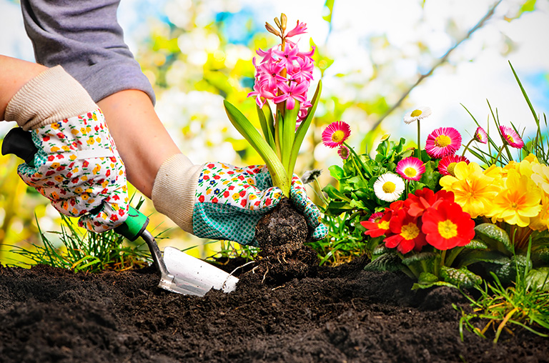 Eine Person pflanzt mit einer kleinen Schaufel bunte Frühlingsblumen in ein Beet.