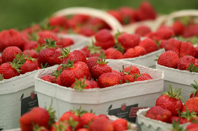 Die Saison geht wieder los - daher werden wieder viele Schalen voller leckerer Erdbeeren genossen.