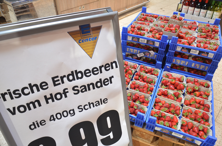 Frisch vom Feld: regionale Erdbeeren von Sander
